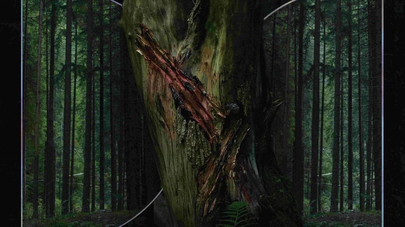 Το «Hope» έφτασε στις αίθουσες και κρύβει μια έκπληξη που κανείς δεν περίμενε!